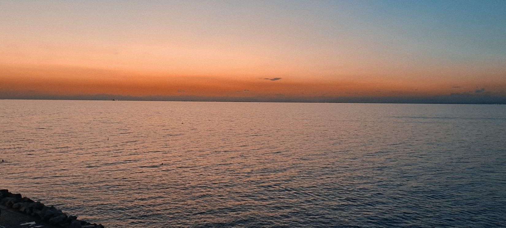 from Oles – Piran, Slovenia